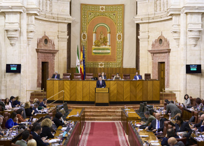  El Pleno del Parlamento de Andaluca, durante la comparecencia del consejero de Universidad, Investigacin e Innovacin, Jos Carlos Gmez Villamandos