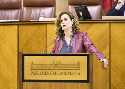  Esperanza Gmez, del Grupo Por Andaluca, ha presentado una proposicin no de ley relativa a asistencia jurdica gratuita