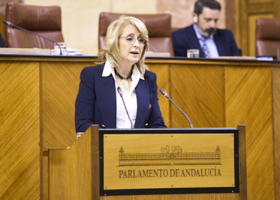  Mara Pilar Pintor, en un momento de su presentacin de la proposicin no de ley relativa a declaracin de la provincia de Cdiz como zona de especial singularidad