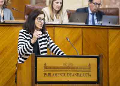 Mara del Pilar Navarro, del Grupo Socialista, expresa el parecer de su grupo parlamentario en la cuestin 