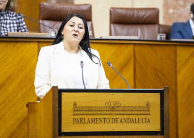  La diputada Alejandra Durn, del G.P. Por Andaluca, dirige una interpelacin al Consejo de Gobierno relativa al acoso escolar y el ciberacoso 