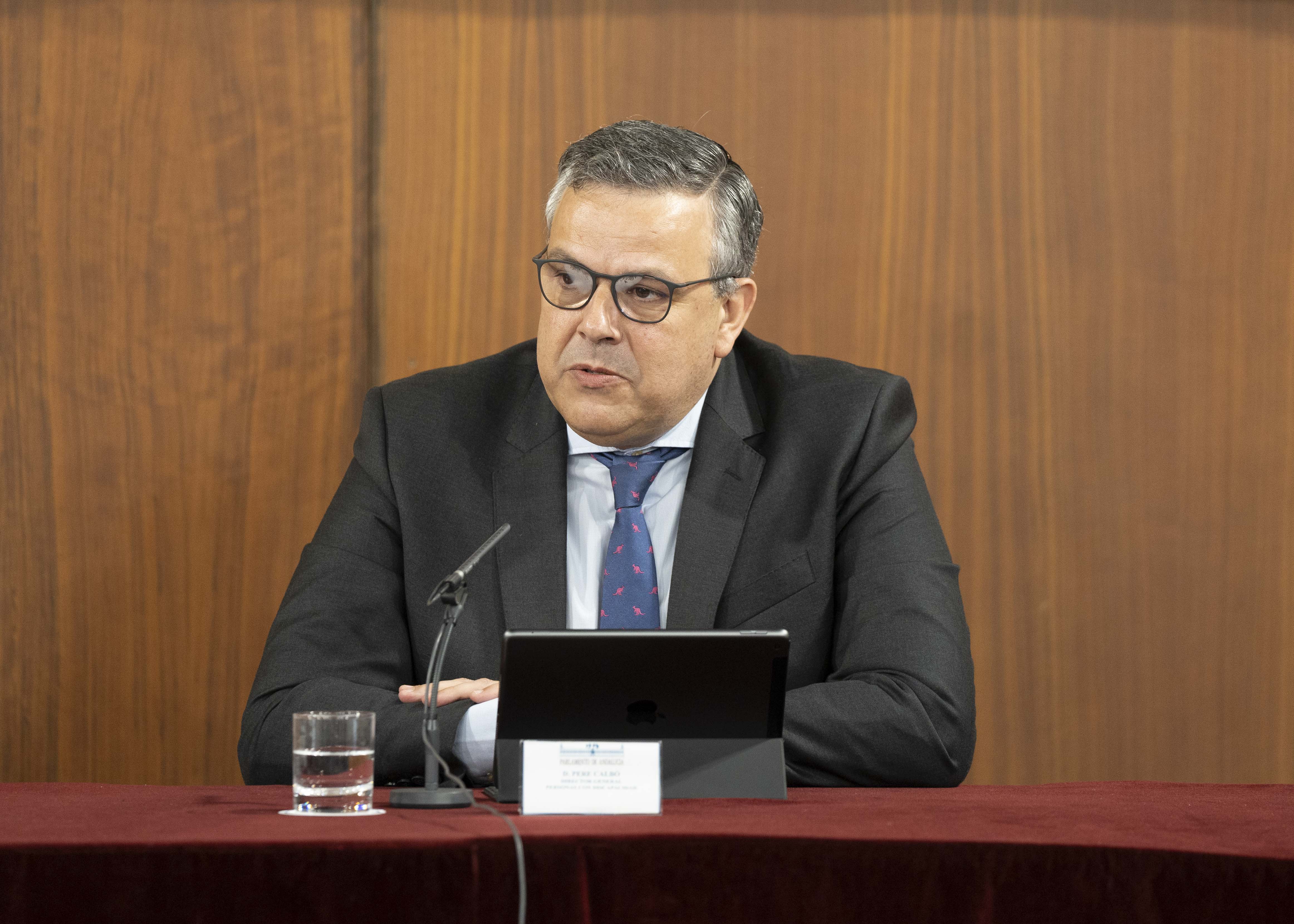 Interviene Pedro Calb, director general de Personas con Discapacidad de la Junta de Andaluca 