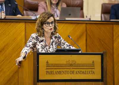    Esperanza Gmez, portavoz adjunta del G.P. Por Andaluca, presenta una proposicin de ley a tramitar ante la Mesa del Congreso de los Diputados relativa a la adecuacin de las pruebas de acceso a la funcin pblica para las personas con discapacidad intelectual