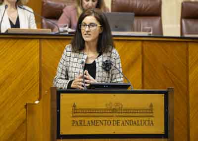 Mara del Pilar Navarro posiciona al Grupo Parlamentario Socialista en la cuestin 