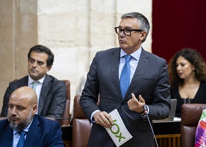   El portavoz del Grupo Parlamentario Vox, Manuel Gavira, pregunta al presidente de la Junta de Andaluca en la sesin de control