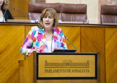 Cristina Alejandra Jimnez, del G.P. Vox en Andaluca, presenta una proposicin no de ley relativa al nuevo marco fiscal para la creacin de empleo digno y proteccin de las familias