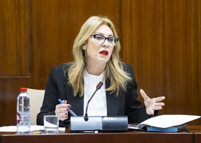 Carolina Espaa, consejera de Economa, Hacienda y Fondos Europeos, durante su comparecencia