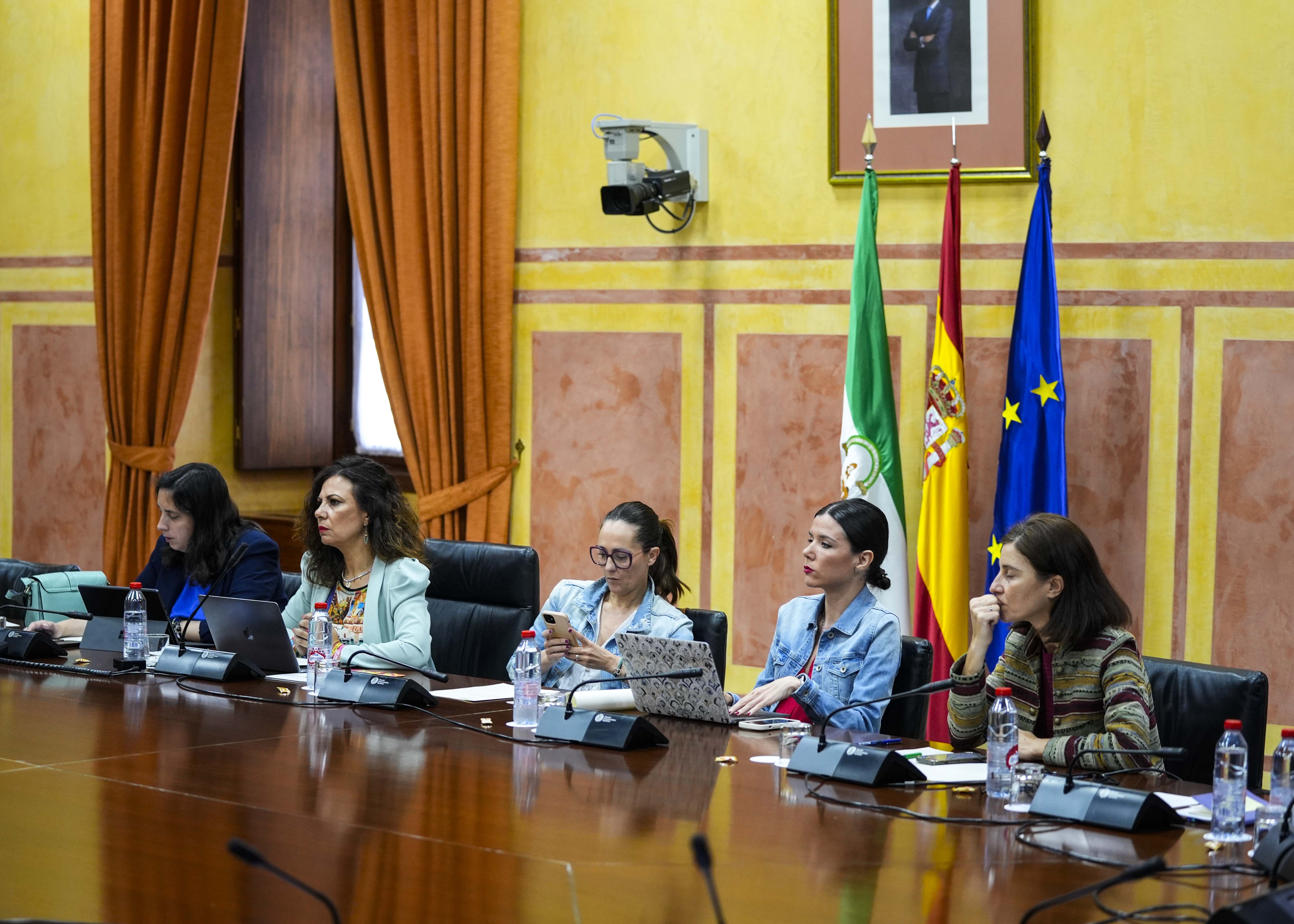 El Grupo de trabajo para garantizar la proteccin de menores ante el acceso a la pornografa en internet recibe nuevas comparecencias de expertos en la materia 