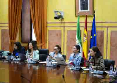 El Grupo de trabajo para garantizar la proteccin de menores ante el acceso a la pornografa en internet recibe nuevas comparecencias de expertos en la materia 