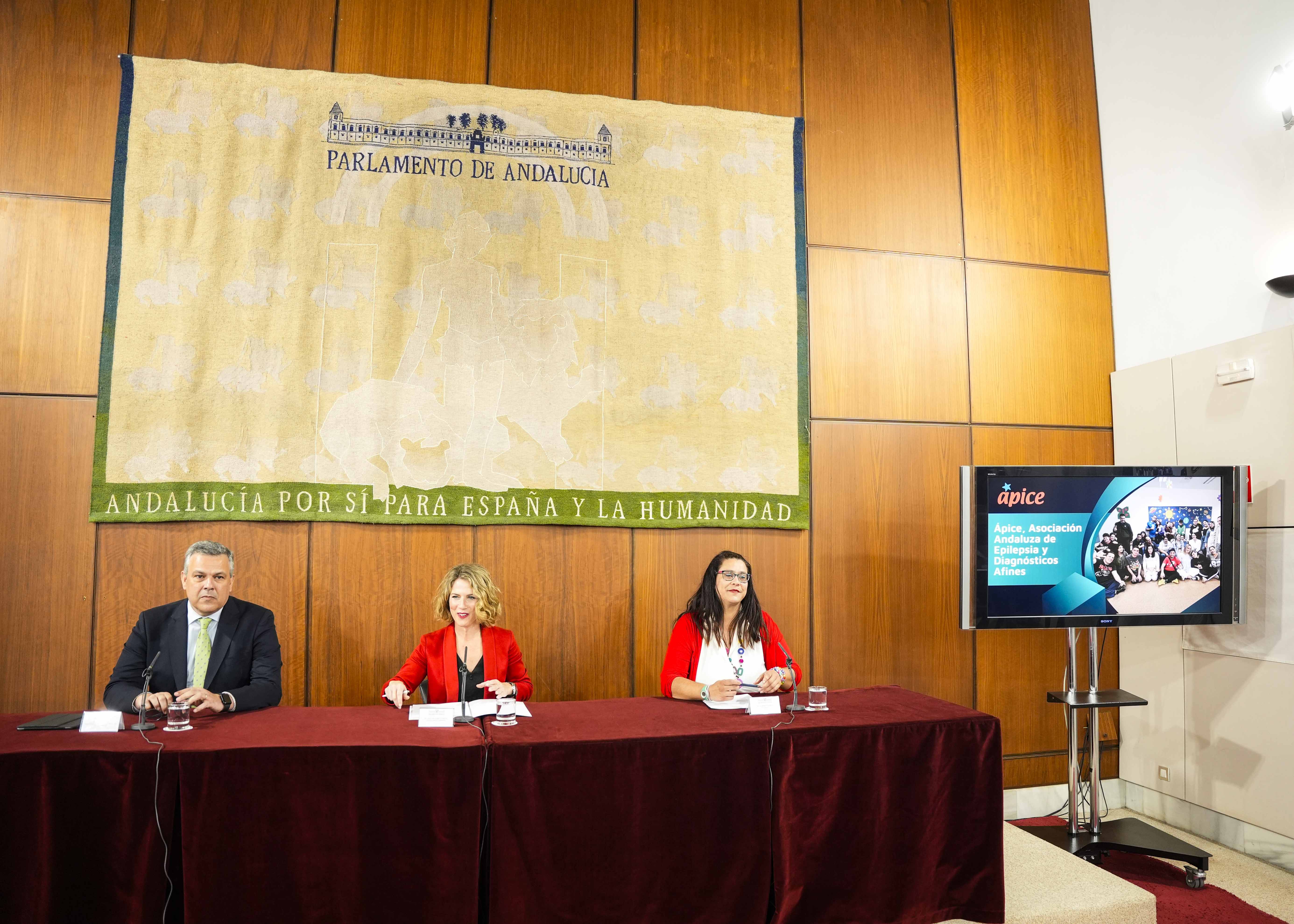 Mesa con los ponentes del acto en el que se ha ledo un manifiesto realizado por la Asociacin Andaluza de Epilepsia y Diagnsticos Afines (pice)