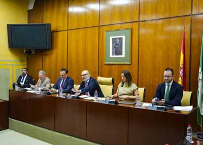 La Mesa de la Comisin de Universidad, Investigacin e Innovacin con el consejero titular