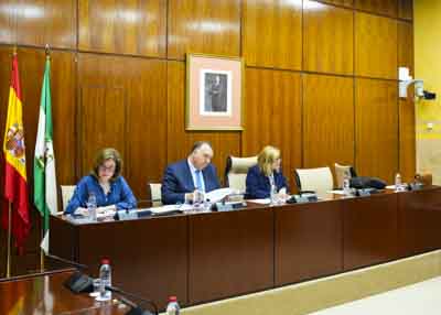 La Mesa de la Comisin sobre la Infancia y la Adolescencia con el consejero de Turismo, Cultura y Deporte 