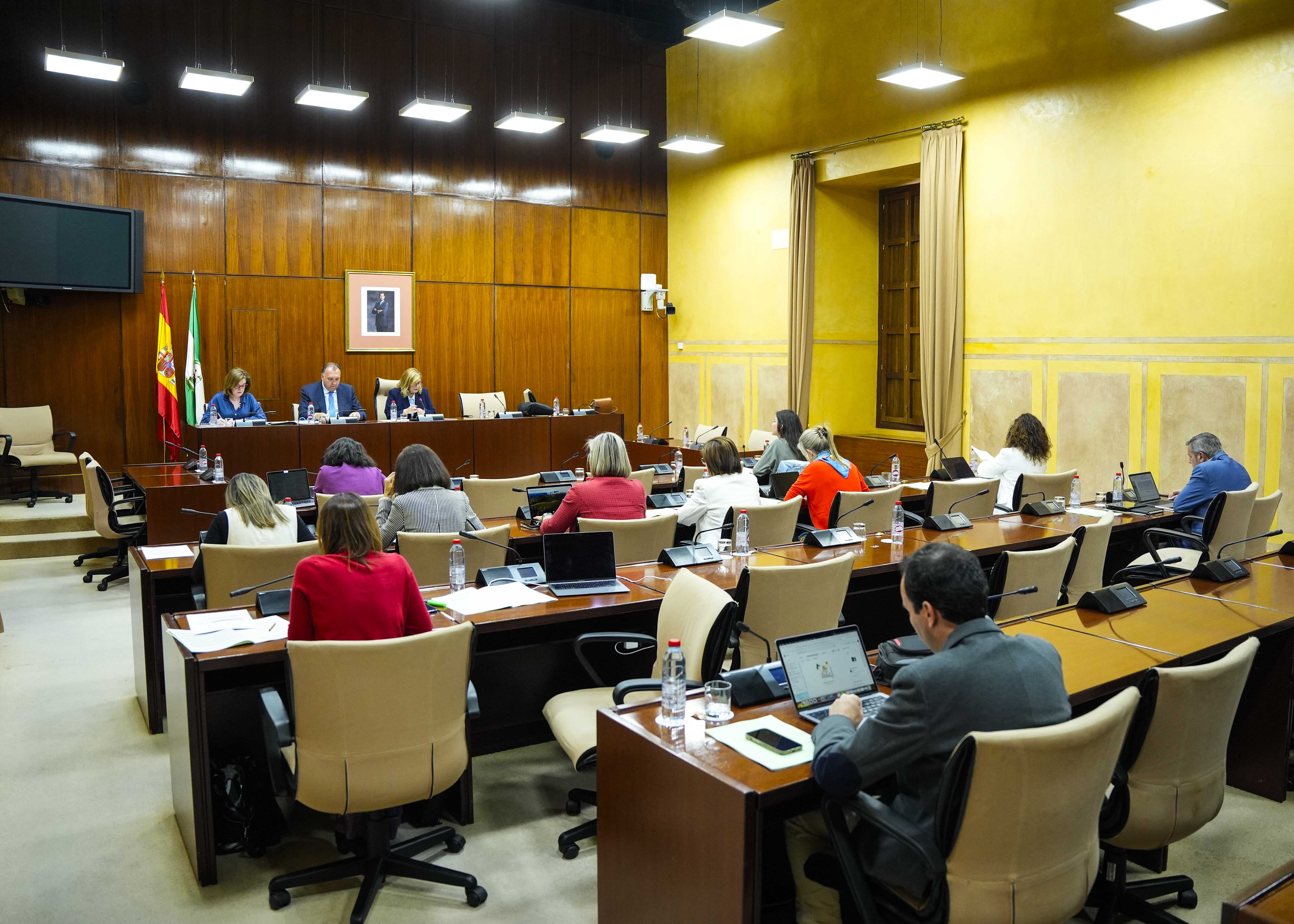 Comisin sobre la Infancia y la Adolescencia durante la comparecencia del consejero de Turismo  