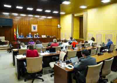 Comisin sobre la Infancia y la Adolescencia durante la comparecencia del consejero de Turismo  