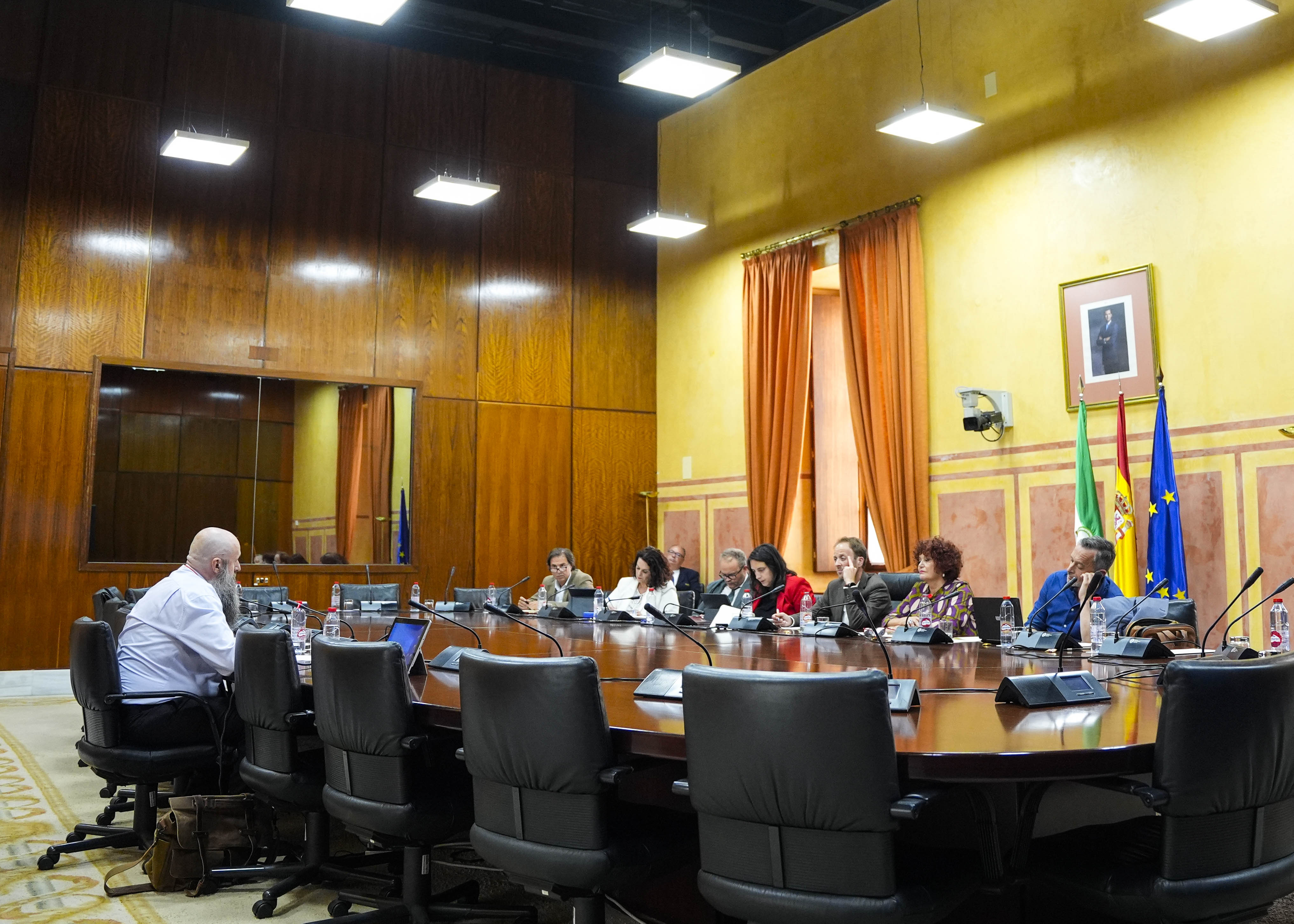 El Grupo de Trabajo relativo a la Inteligencia Artificial asiste a nuevas comparecencias de expertos en la tarde de hoy martes 