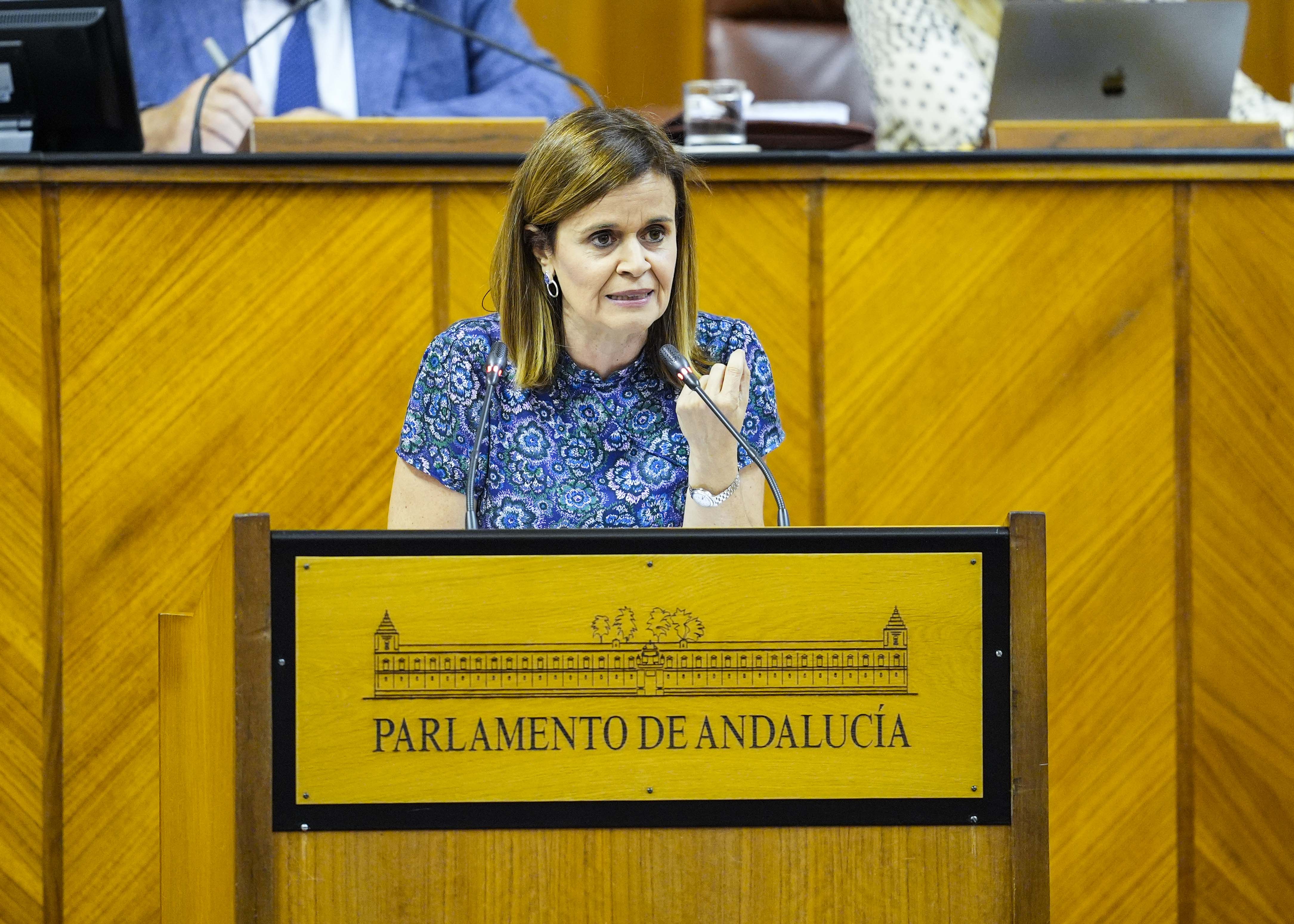  Esperanza Gmez, portavoz adjunta del Grupo Por Andaluca, interviene en el debate de convalidacin o derogacin del decreto ley