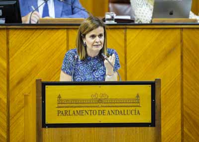  Esperanza Gmez, portavoz adjunta del Grupo Por Andaluca, interviene en el debate de convalidacin o derogacin del decreto ley