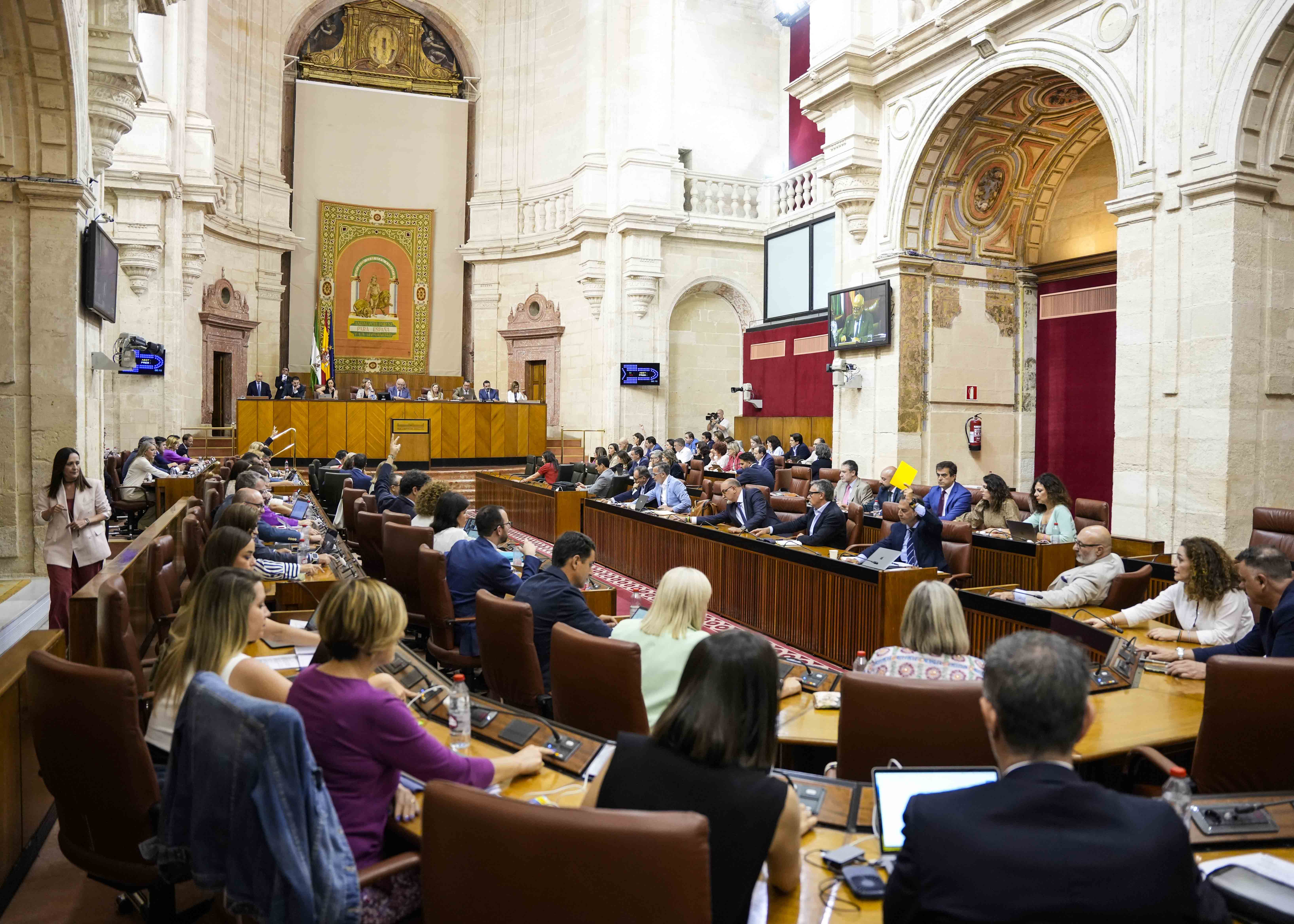 Vista general del plenario durante otra de las votaciones de la tarde de hoy 