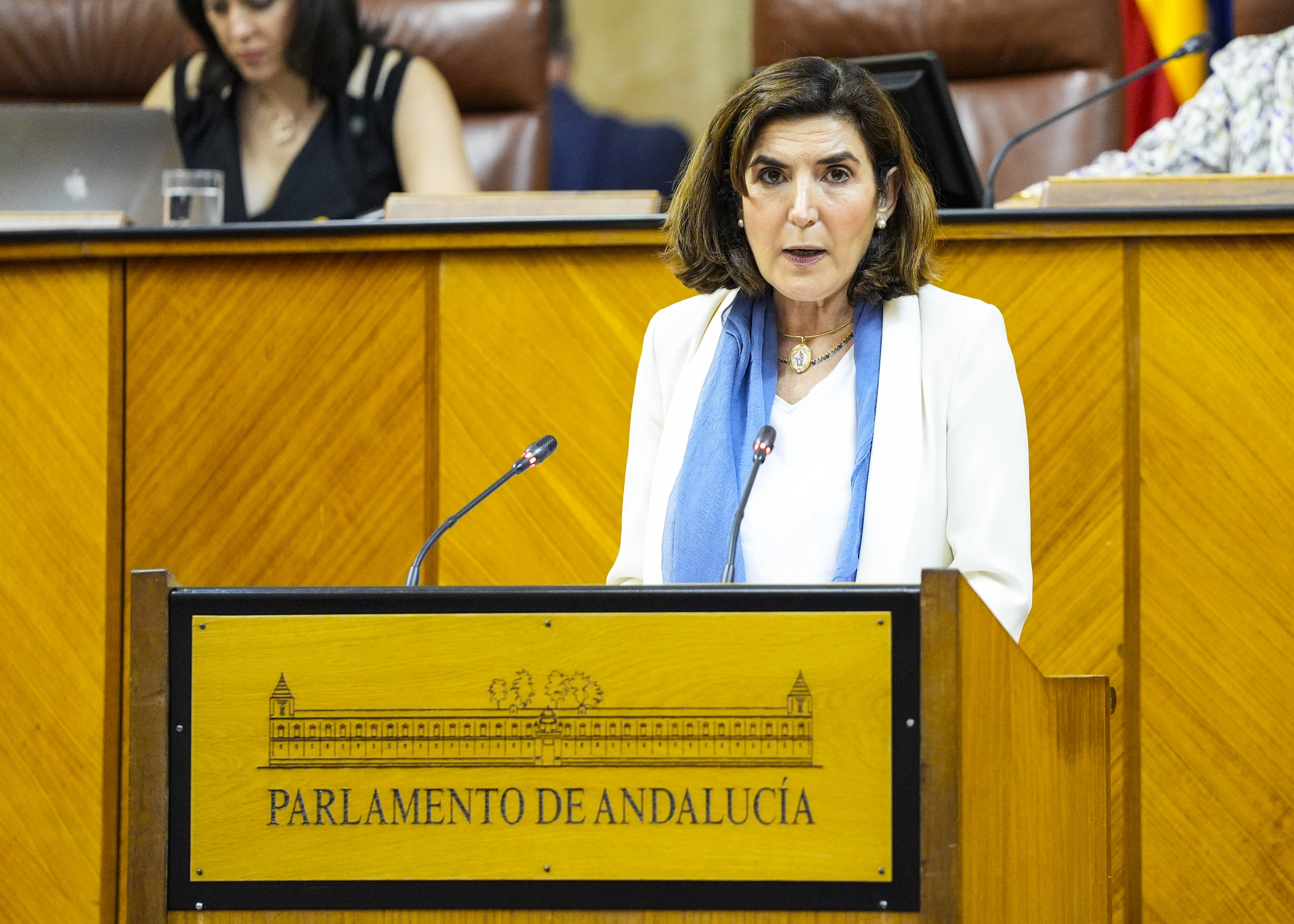 La consejera de Empleo, Empresa y Trabajo Autnomo, Roco Blanco, comparece para informar sobre las iniciativas de su consejera en materia de Formacin Profesional para el Empleo  