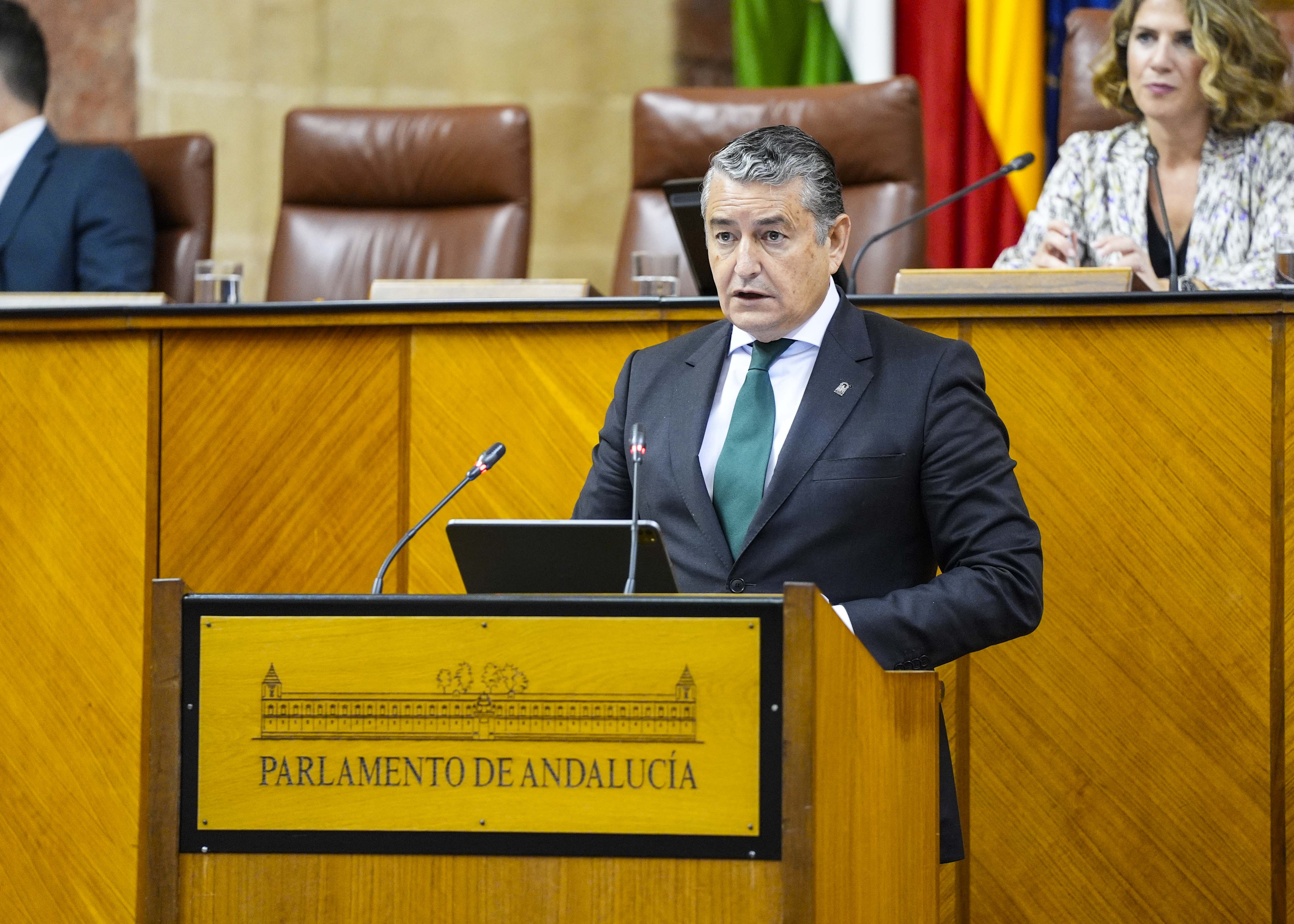 El consejero de la Presidencia, Antonio Sanz, comparece a peticin del G.P. Vox para informar sobre el aumento de la inseguridad en Andaluca en 2024, en el mbito de las competencias de la Comunidad Autnoma