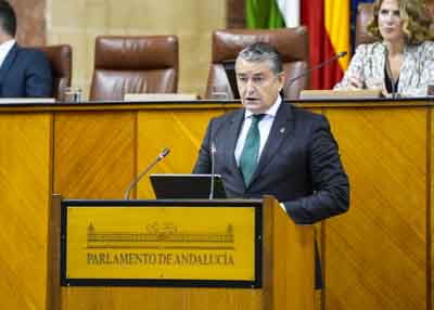 El consejero de la Presidencia, Antonio Sanz, comparece a peticin del G.P. Vox para informar sobre el aumento de la inseguridad en Andaluca en 2024, en el mbito de las competencias de la Comunidad Autnoma