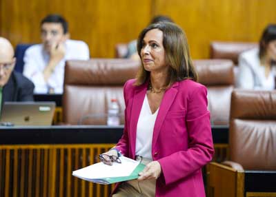 Roco Daz, consejera de Fomento, se dirige al atril 