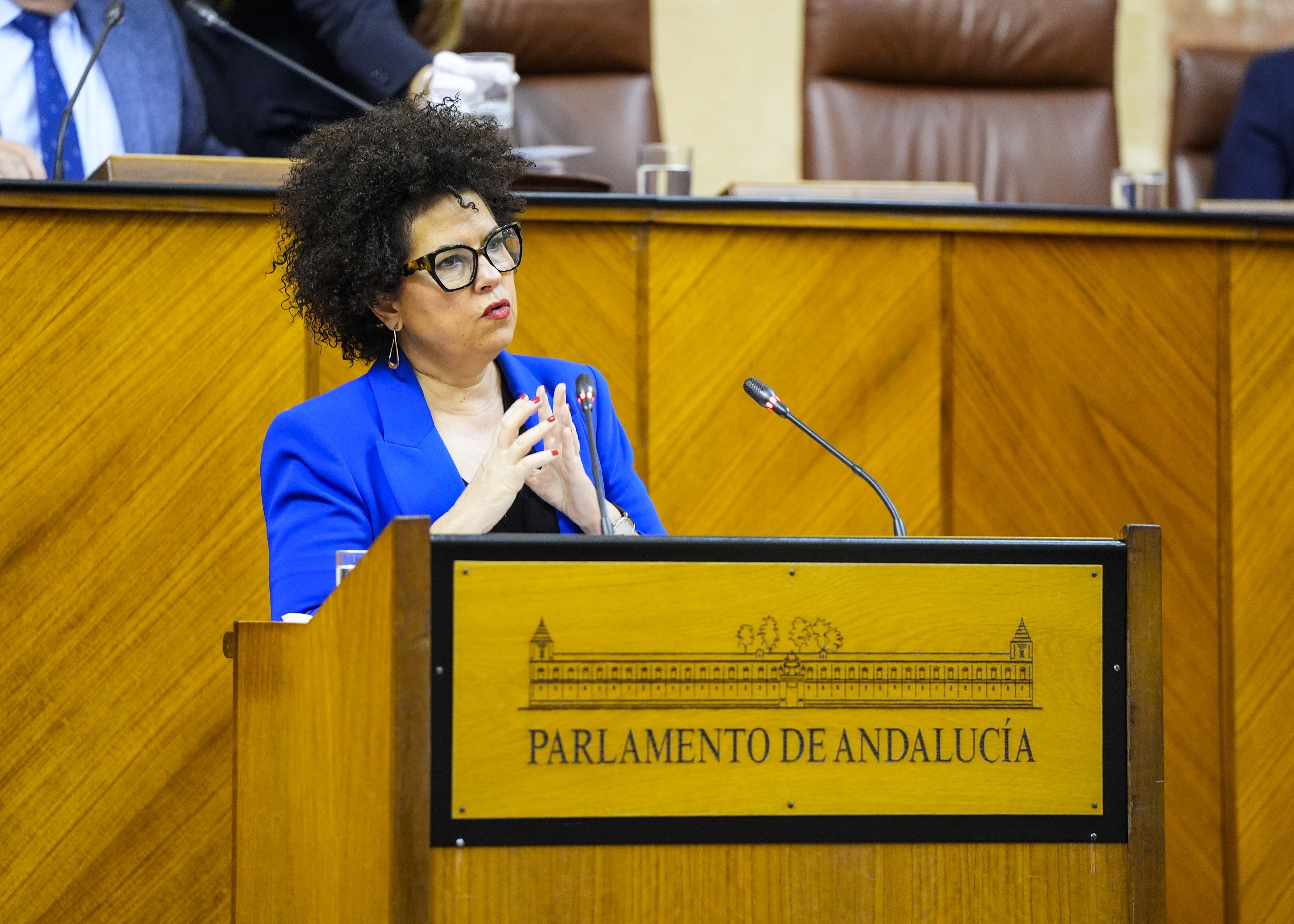 Mara Isabel Mora, presidenta del G.P. Mixto-Adelante Andaluca, presenta una interpelacin relativa a turismo en Andaluca