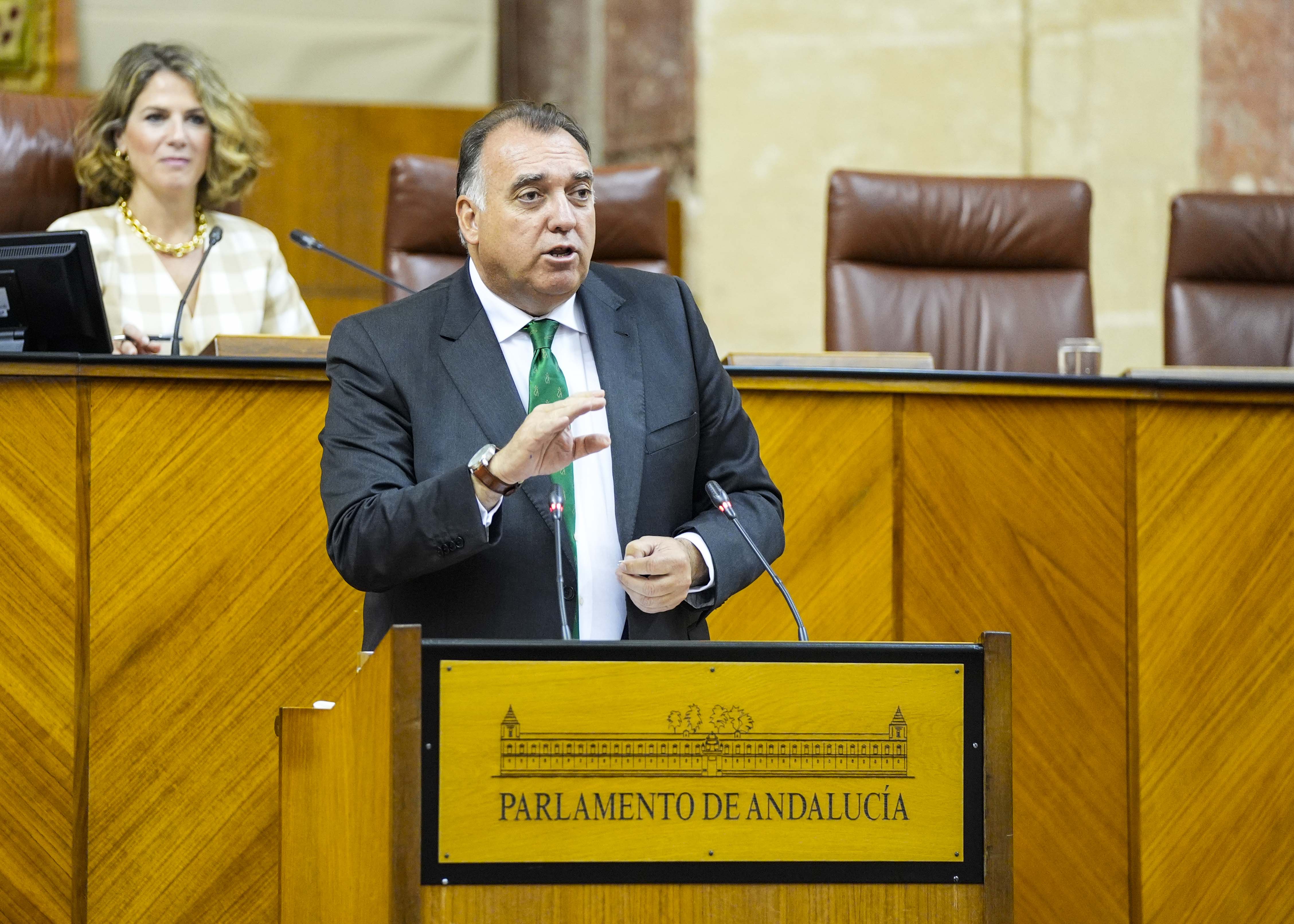 El consejero de Turismo, Cultura y Deporte, Arturo Bernal, responde a la interpelacin 