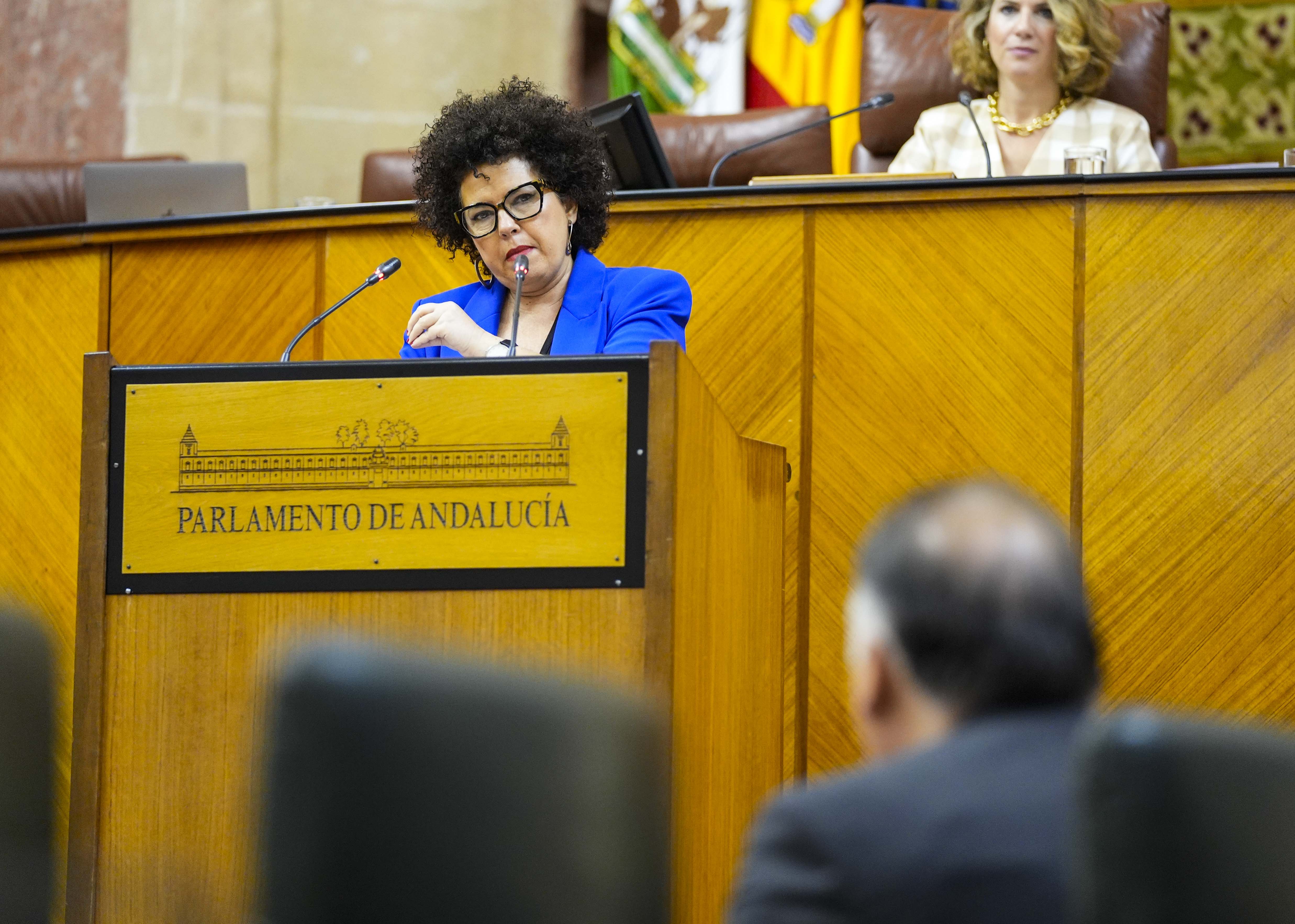 La interpelacin del G.P. Mixto-Adelante Andaluca se dirige al consejero de Turismo 
