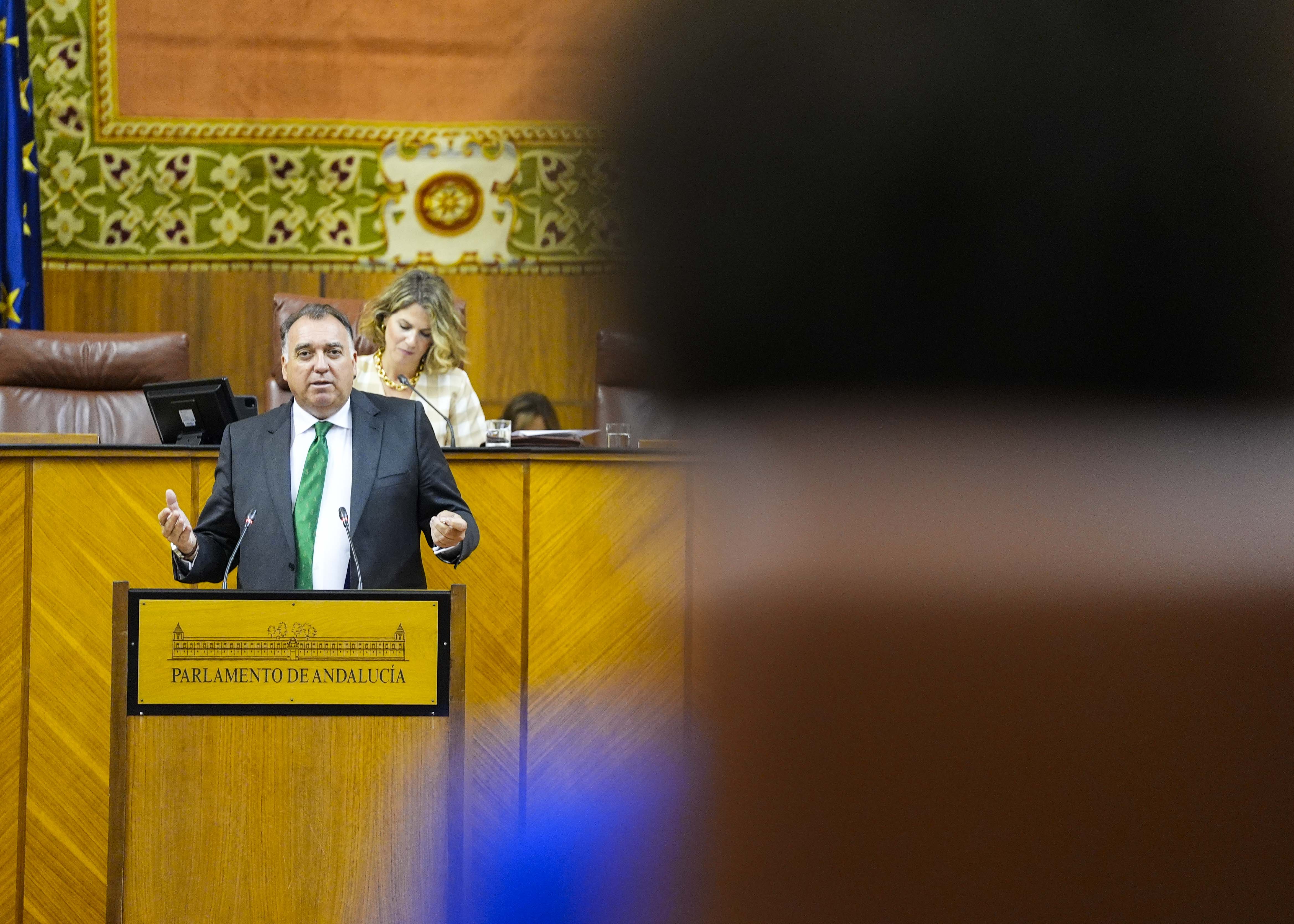 Arturo Bernal, consejero de Turismo, contesta a la diputada  