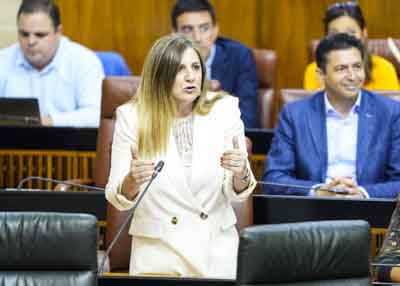  Irene Garca, del G.P. Socialista, pregunta sobre el hospital de Cdiz 