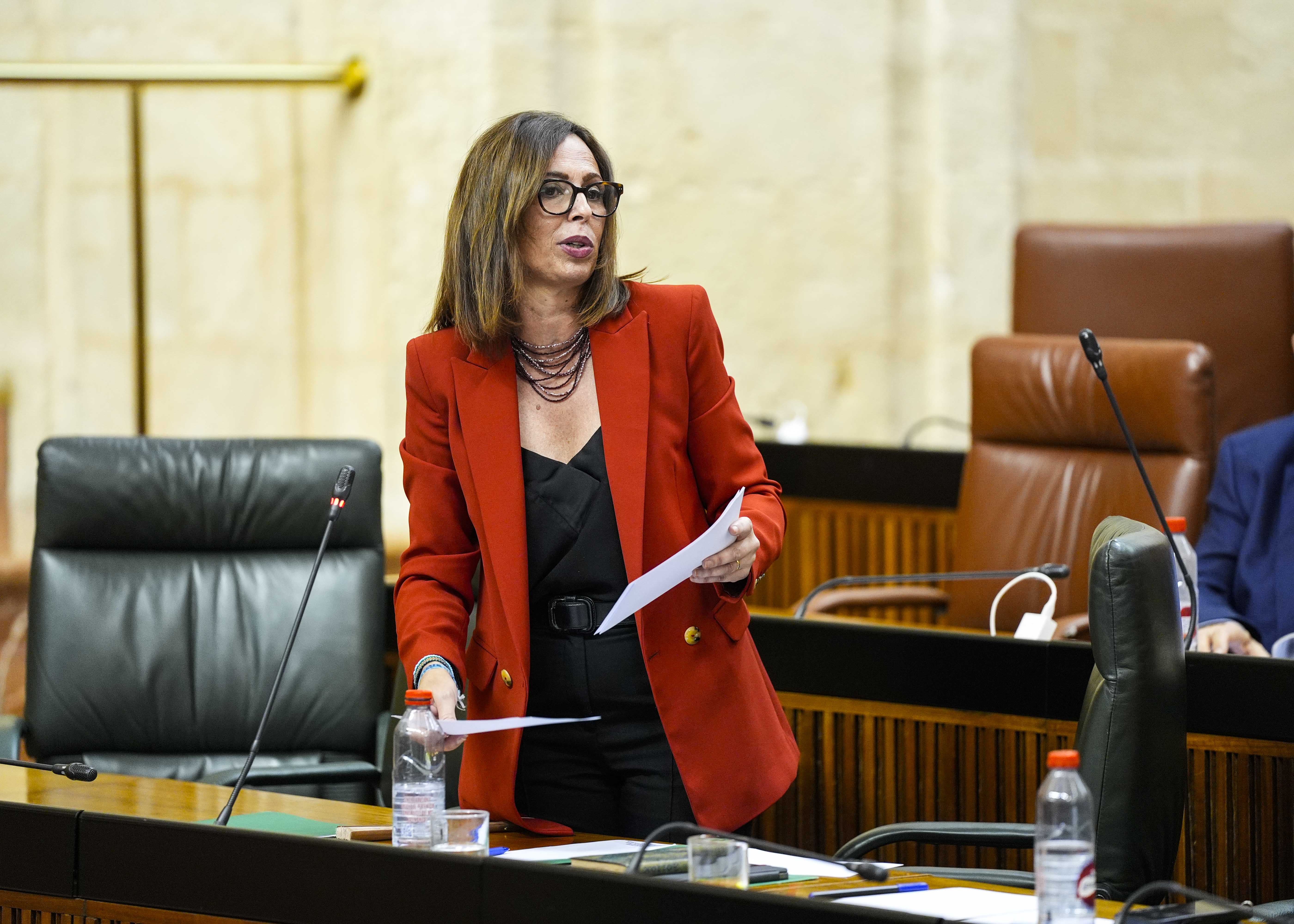 La consejera de Fomento, Articulacin del Territorio y Vivienda, Roco Daz, responde al diputado 