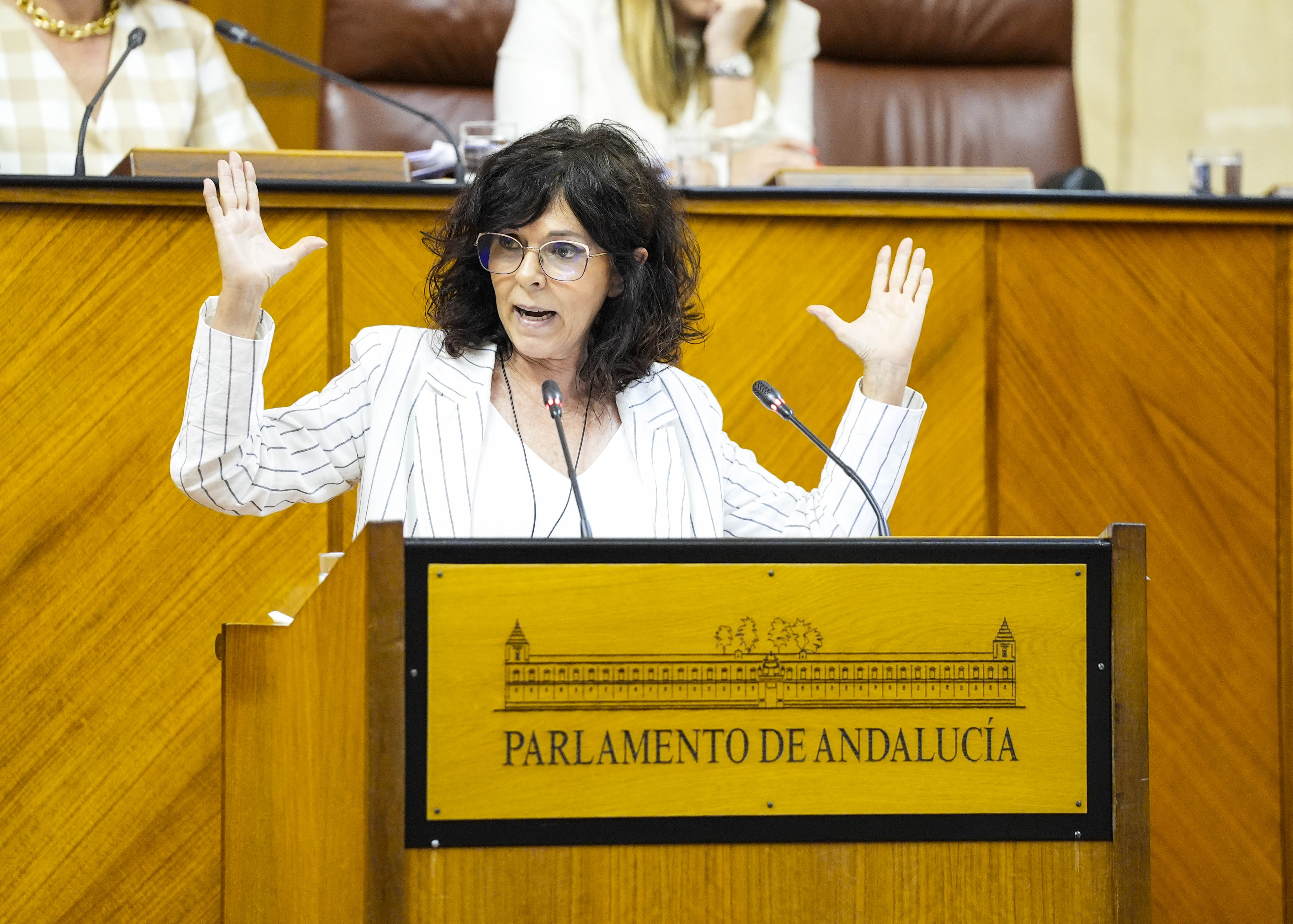 Mara ngeles Prieto, del Grupo Socialista, ha defendido una proposicin no de ley relativa a modificacin de la Orden de 23 de febrero de 2023