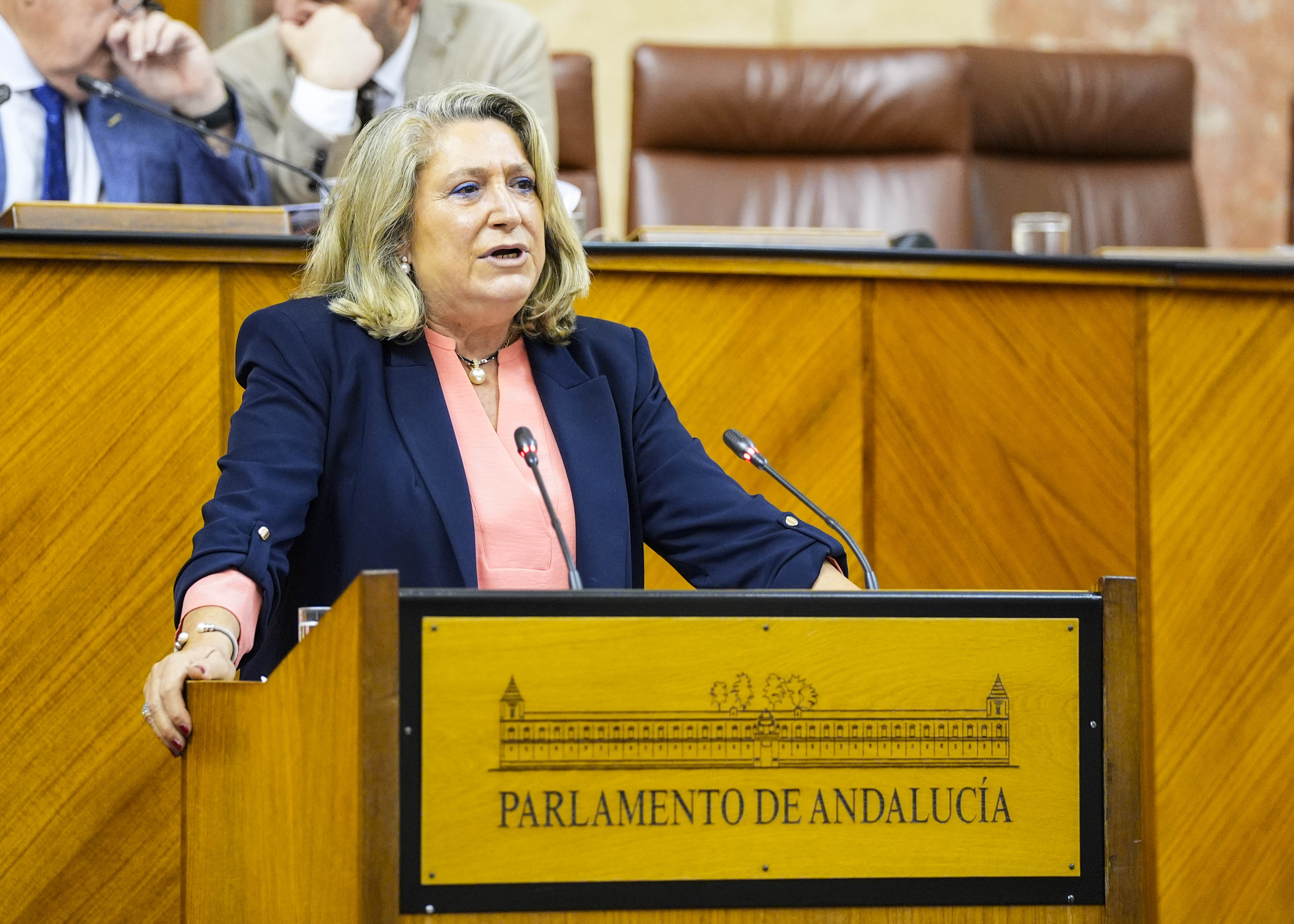   Trinidad Herrera, del Grupo Popular, ha presentado la ltima proposicin no de ley ante esta sesin del Pleno, relativa a reclamaciones y necesidades de Andaluca al Gobierno de Espaa ante la Unin Europea 