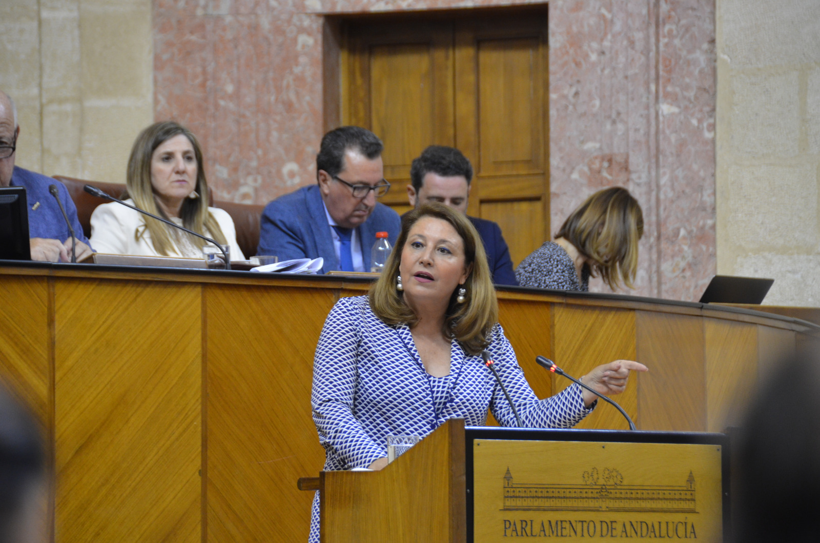  La diputada del Grupo Popular Carmen Crespo cierra el debate de la proposicin no de ley relativa a reclamaciones y necesidades de Andaluca al Gobierno de Espaa ante la Unin Europea