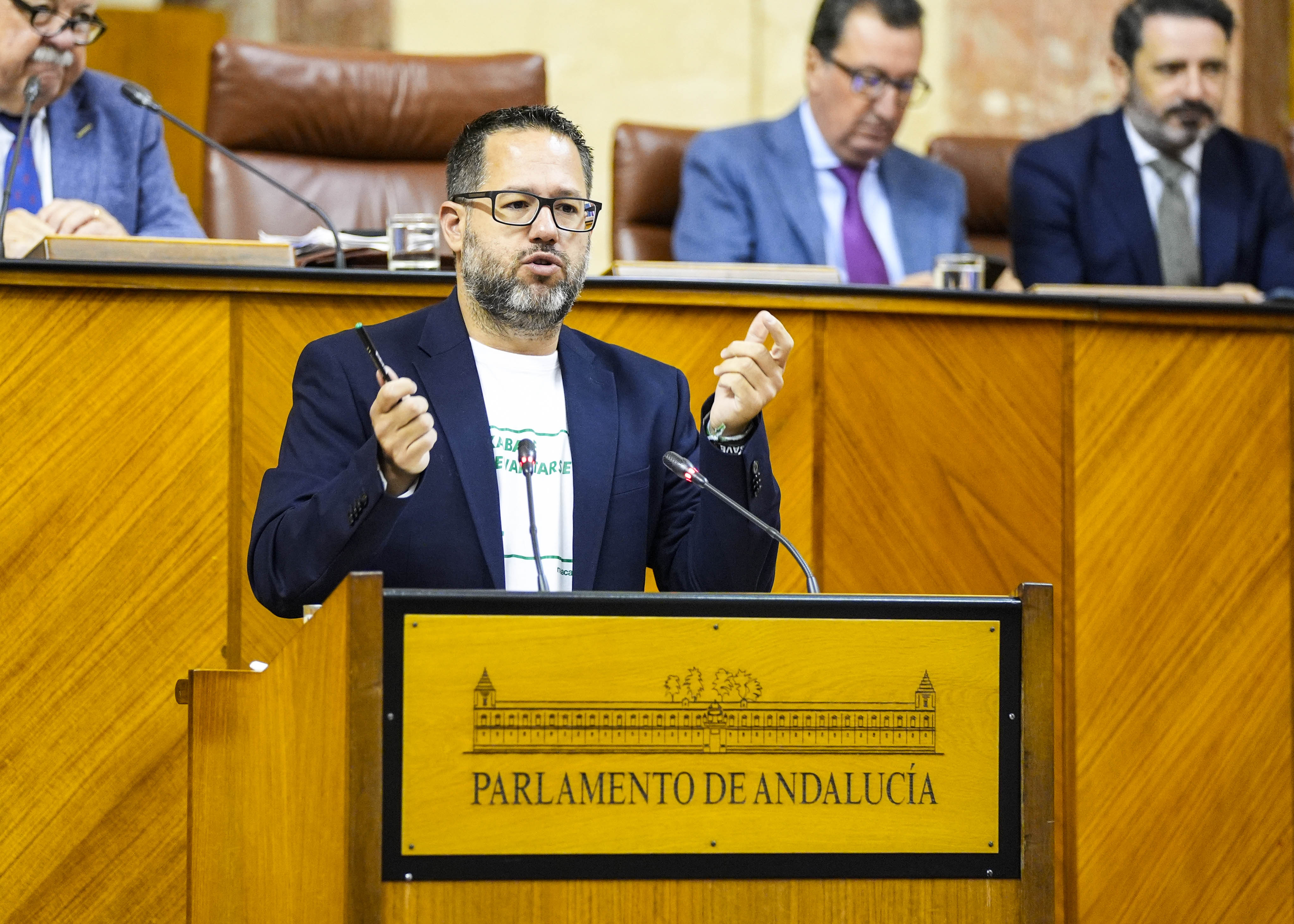 Jos Ignacio Garca, portavoz del G.P. Mixto-Adelante Andaluca, presenta una mocin relativa a turismo en Andaluca 