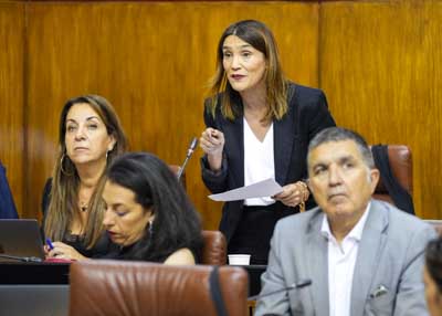 La diputada del Grupo Socialista Olga Manzano pregunta sobre la centralizacin de los organismos de Granada 