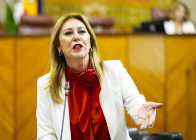 La consejera de Economa, Hacienda y Fondos Europeos, Carolina Espaa, contesta 
