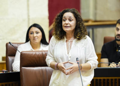 La portavoz del Grupo Por Andaluca, Inmaculada Nieto, se interesa sobre las actuaciones previstas frente a la precariedad en Andaluca 