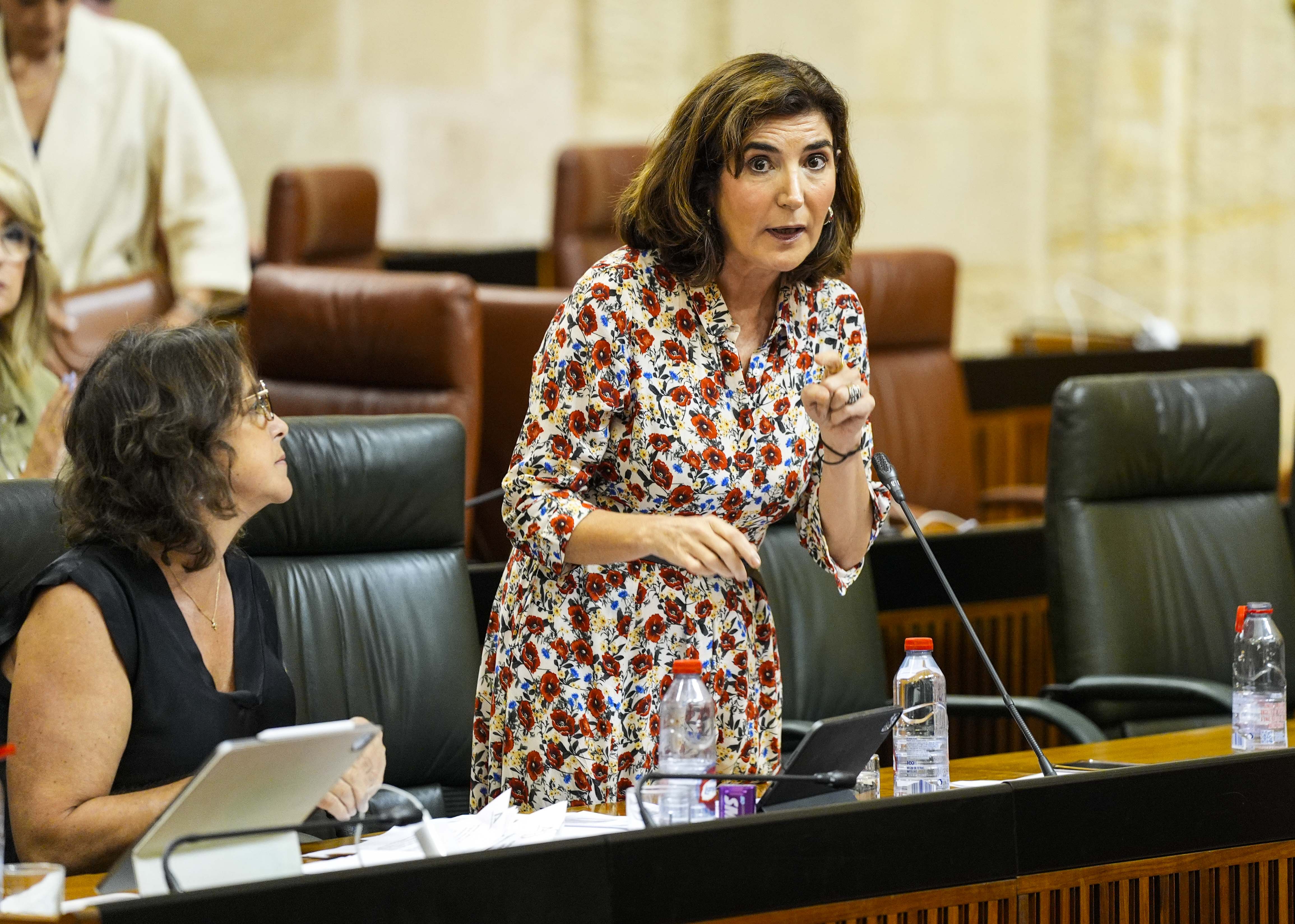 La consejera de Empleo, Empresa y Trabajo Autnomo, Roco Blanco, contesta al diputado 