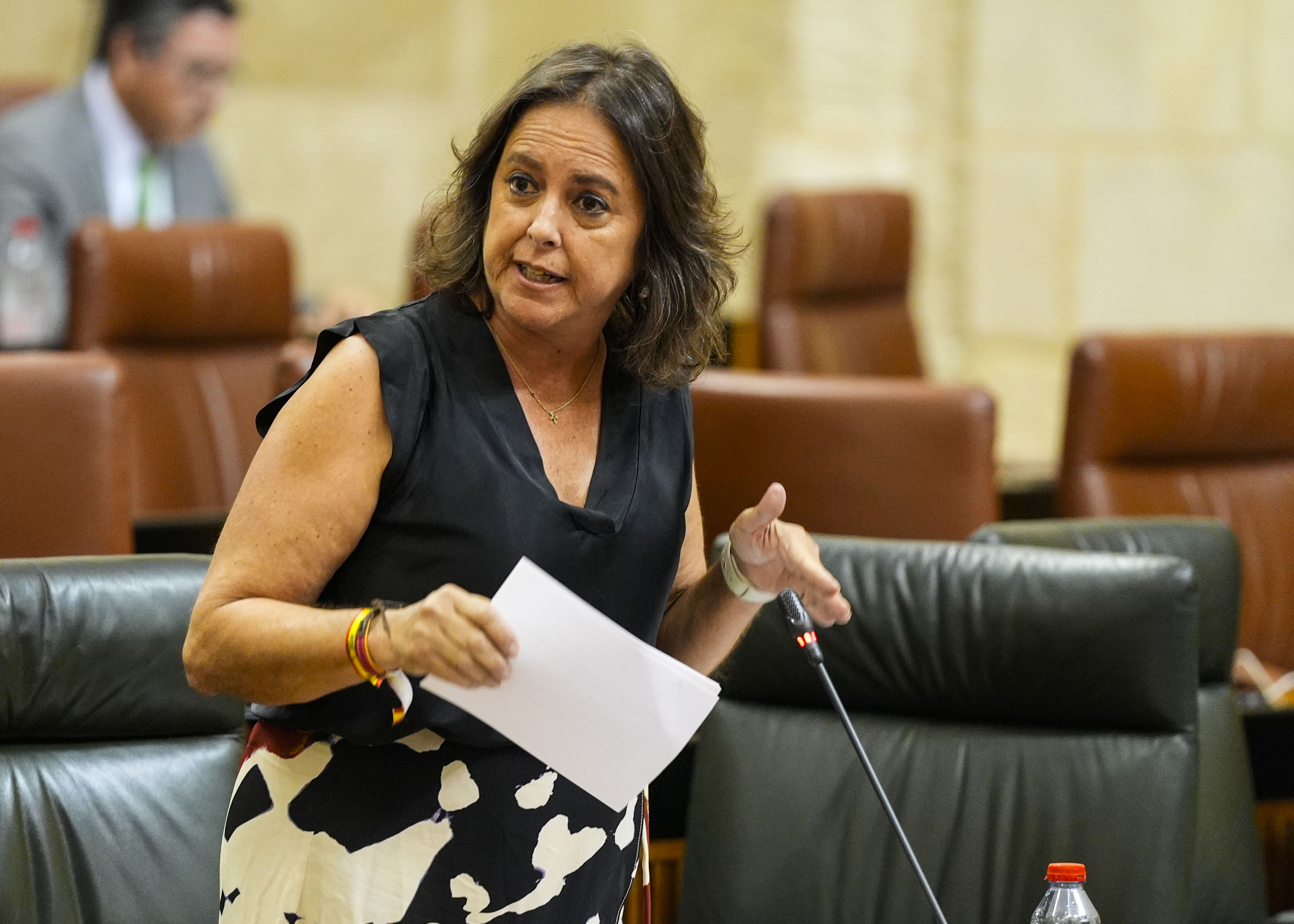 Catalina Garca, consejera de Salud y Consumo, responde al diputado 