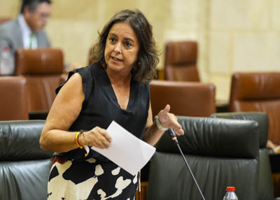 Catalina Garca, consejera de Salud y Consumo, responde al diputado 