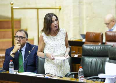 Roco Daz, consejera de Fomento, Articulacin del Territorio y Vivienda, responde 