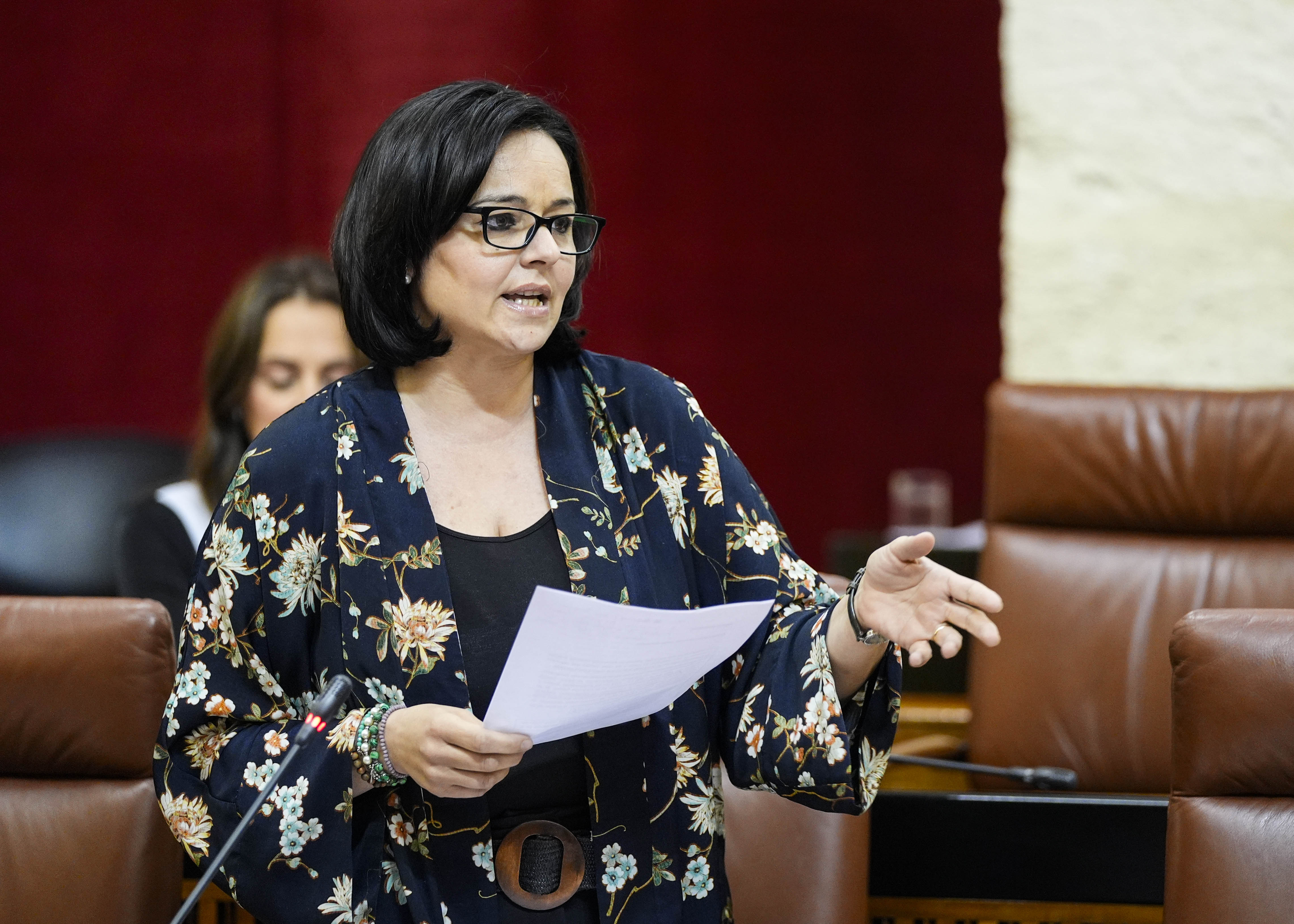 Virginia Prez, del G.P. Popular, pregunta sobre las infraestructuras judiciales de rgiva 