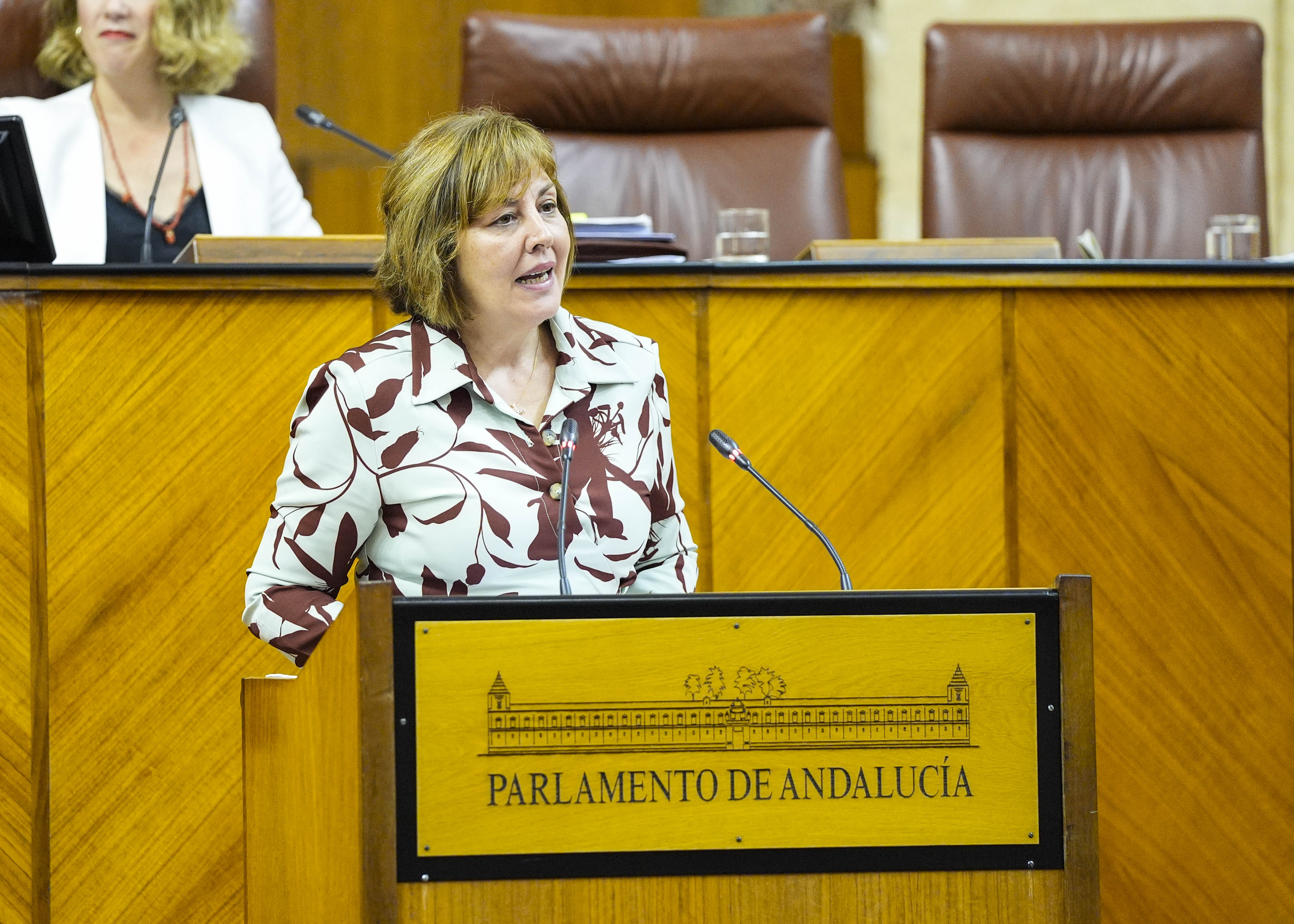Cristina Alejandra Jimnez, del Grupo Vox en Andaluca, presenta una proposicin no de ley relativa a bonificacin del ITP y del AJD