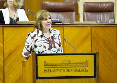 Cristina Alejandra Jimnez, del Grupo Vox en Andaluca, presenta una proposicin no de ley relativa a bonificacin del ITP y del AJD