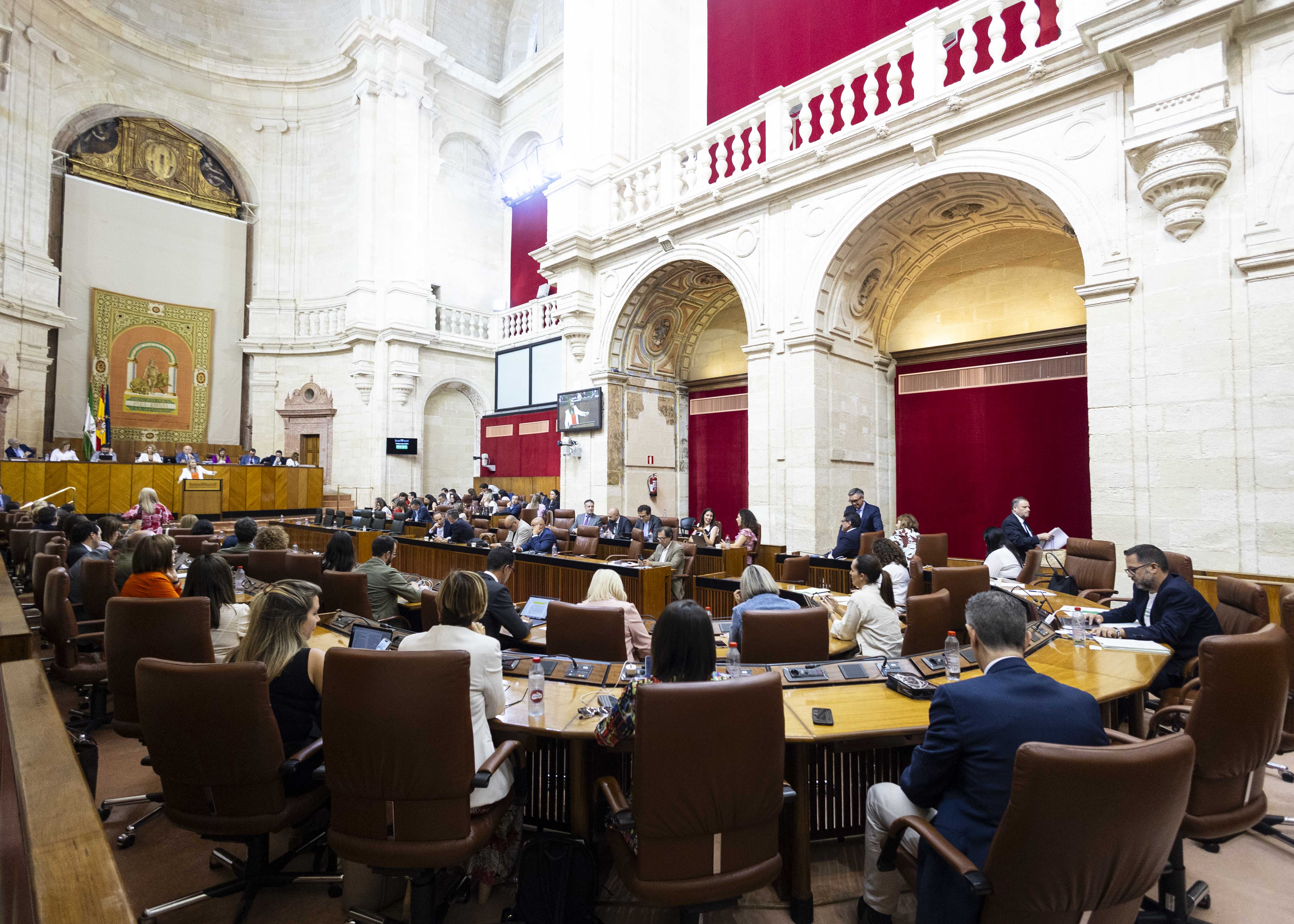 El Pleno del Parlamento de Andaluca durante el desarrollo del ltimo punto del orden del da 