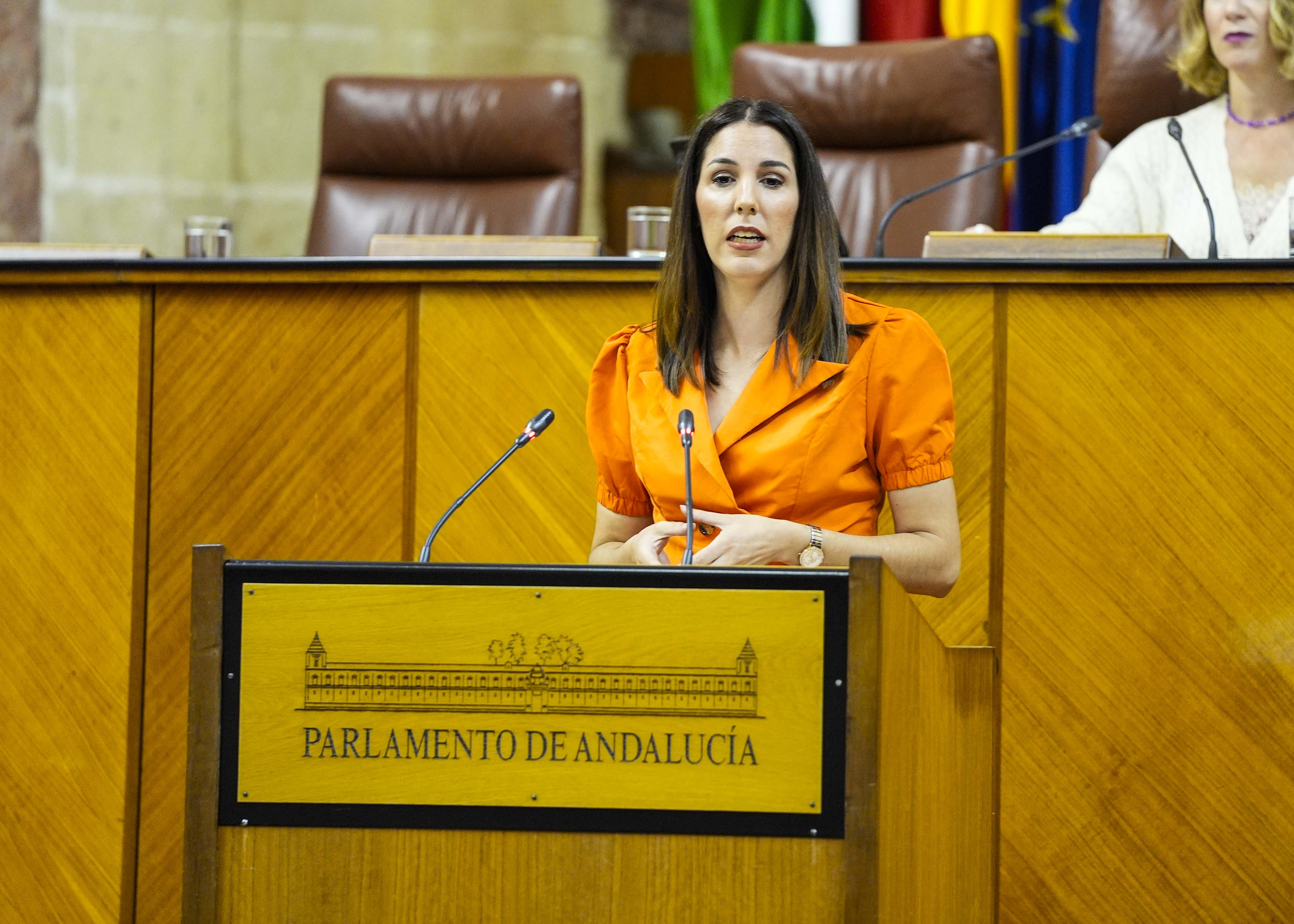   Por el G.P. Vox en Andaluca, la diputada Purificacin Fernndez formula una interpelacin relativa a poltica general en materia de juventud. 