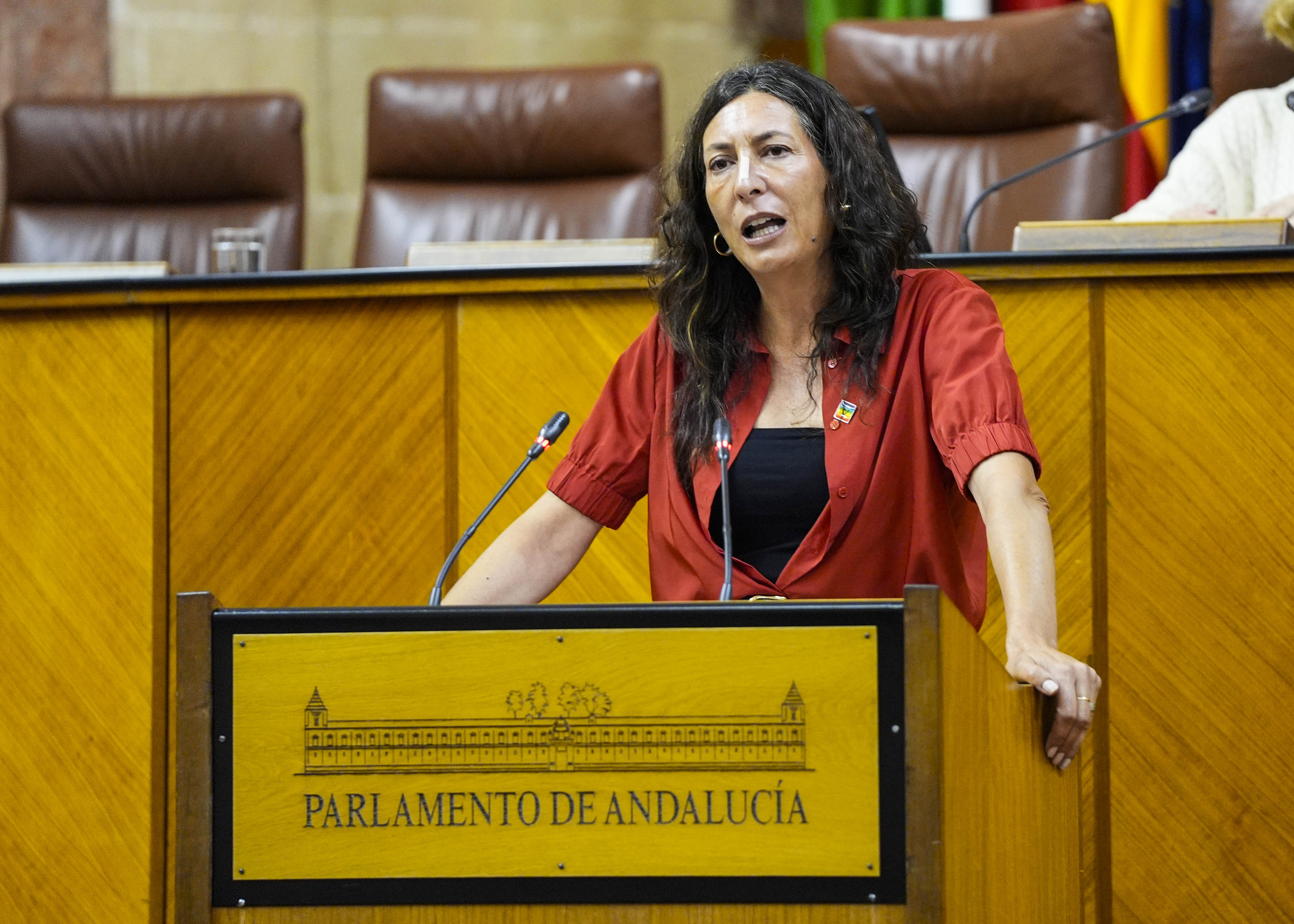  La consejera de Inclusin Social, Juventud, Familias e Igualdad, Loles Lpez, contesta a la interpelacin 