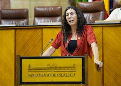  La consejera de Inclusin Social, Juventud, Familias e Igualdad, Loles Lpez, contesta a la interpelacin 